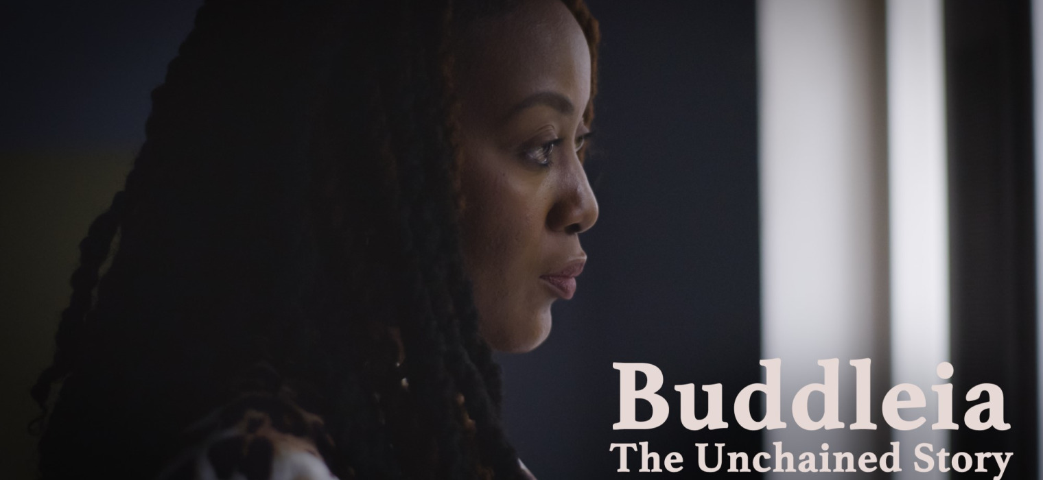 Buddleia: The Unchained Story film poster.